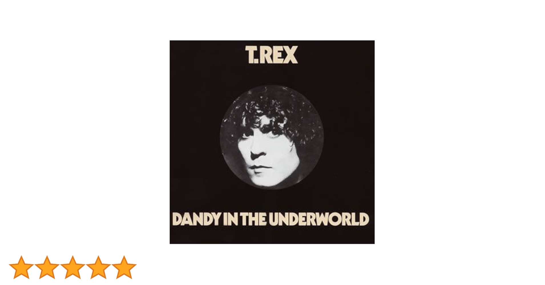 T-REX アルバム6枚セット 電気の武者/地下世界のダンディ/サ・スライダー他 Amazon.co.jp: 地下世界のダンディ: ミュージック